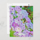 PHLOX-MALETTE POSTKARTE (Vorne/Hinten)