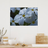 Phlox-Nah-up Poster (Küche)