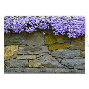 Phlox Notecard