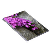 Phlox On Rocks Notebook Notizblock (Rechte Seite)