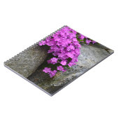 Phlox On Rocks Notebook Notizblock (Linke Seite)