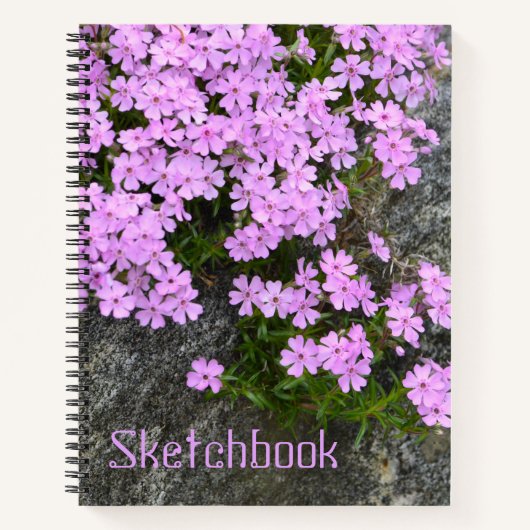 Phlox on Rocks Sketch Notizblock (Vorderseite)