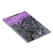 Phlox On Stone Wall Notebook Notizblock (Rechte Seite)