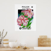 Phlox Poster (Küche)