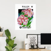 Phlox Poster (Heimbüro)