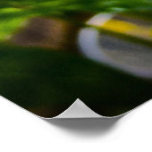 Phlox, Poster (Ecke)