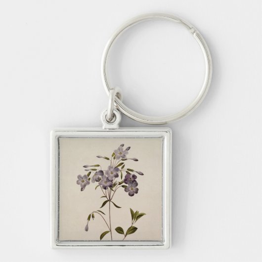 Phlox reptans schlüsselanhänger (Vorne)
