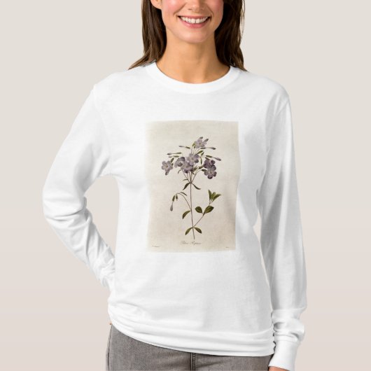 Phlox reptans T-Shirt (Vorderseite)