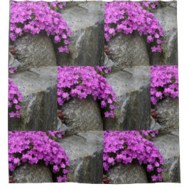 Phlox Rock Garden Duschvorhang