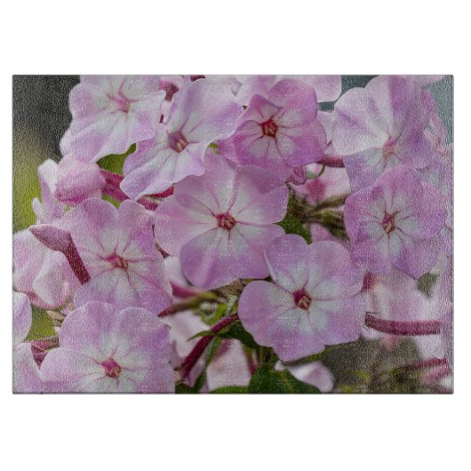 Phlox, rosa Blumenfotografie Schneidebrett (Vorderseite)