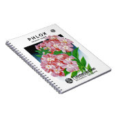 Phlox-Samenpackungsetikett Notizblock (Rechte Seite)