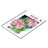 Phlox-Samenpackungsetikett Notizblock (Linke Seite)