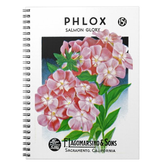 Phlox-Samenpackungsetikett Notizblock (Vorderseite)