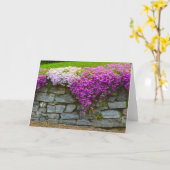 Phlox Stone Wall Notecard Karte (Gelbe Blume)