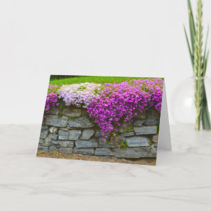 Phlox Stone Wall Notecard Karte