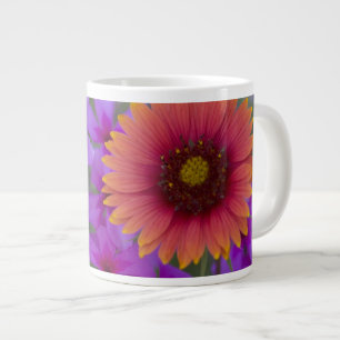 Phlox und Indian Blanket in der Nähe von Devine Te Jumbo-Tasse