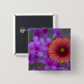 Phlox und Indianerblanket bei Devine Texas Button (Vorne & Hinten)