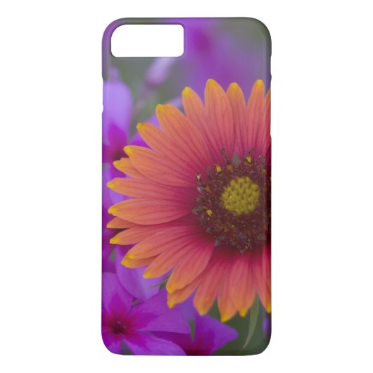 Phlox und Indianerblanket bei Devine Texas Case-Mate iPhone Hülle (Rückseite)