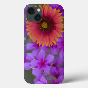 Phlox und Indianerblanket bei Devine Texas Case-Mate iPhone Hülle