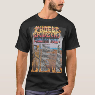 phoebe bridgersphoebe bridgers 3 T-Shirt