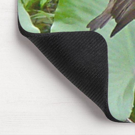 Phoebe Flycatcher Mousepad (Ecke)