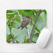 Phoebe Flycatcher Mousepad (Mit Mouse)