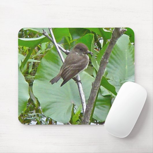 Phoebe Flycatcher Mousepad (Mit Mouse)