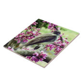 Phoebe in einem Redbud Tree Fliese (Seite)