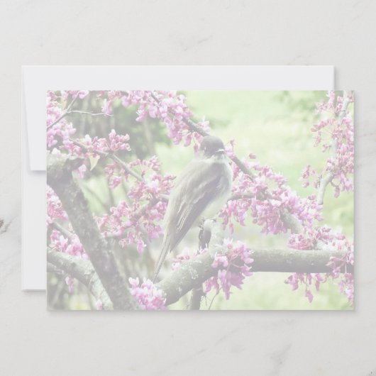 Phoebe in einem Redbud Tree Hochzeitsmaterial Einladung (Rückseite)