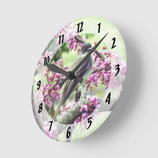 Phoebe in einem Redbud Tree Runde Wanduhr (Winkel)