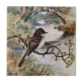 Phoebe und Steinbrücke über Nebenfluss Fliese (Vorderseite)