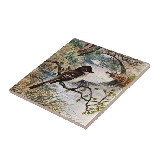 Phoebe und Steinbrücke über Nebenfluss Fliese (Seite)