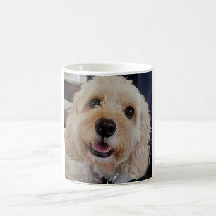 PhoebethePrincess Cavapoo auf einer klassischen Kaffeetasse