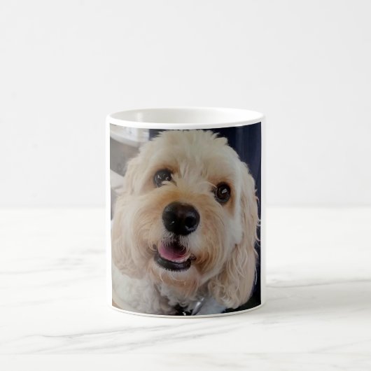 PhoebethePrincess Cavapoo auf einer klassischen Kaffeetasse (Mittel)