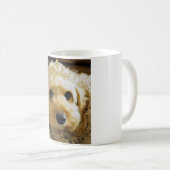 PhoebethePrincess, Cavapoo auf klassischer weißer Kaffeetasse (VorderseiteRechts)