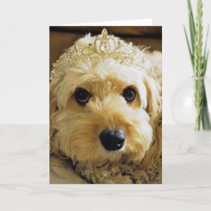 PhoebethePrincess, Cavapoo-Grüße-Karte Karte