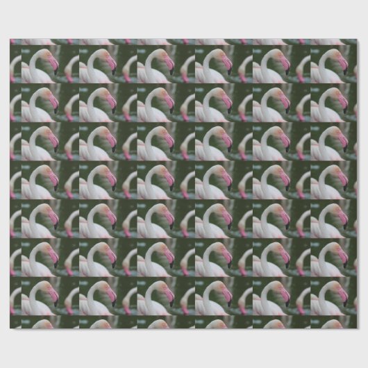 Phoenicopterus roseus geschenkpapier (Flach)