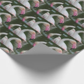Phoenicopterus roseus geschenkpapier (Ecke)