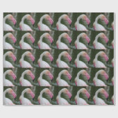 Phoenicopterus roseus geschenkpapier (Flach)