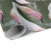 Phoenicopterus roseus geschenkpapier (Rolleneckpunkt)