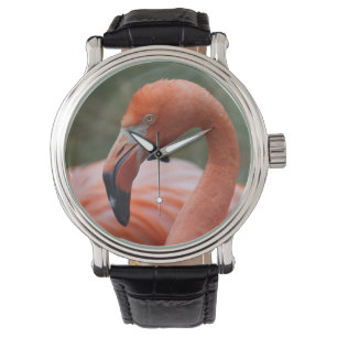 Phoenicopterus ruber armbanduhr
