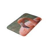 Phoenicopterus ruber badematte (Schrägansicht)