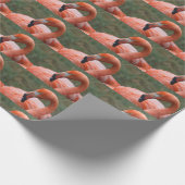 Phoenicopterus ruber geschenkpapier (Ecke)