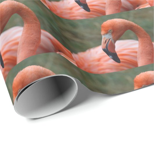 Phoenicopterus ruber geschenkpapier (Rolleneckpunkt)