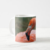 Phoenicopterus ruber kaffeetasse (Vorderseite Links)