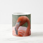 Phoenicopterus ruber kaffeetasse (Mittel)