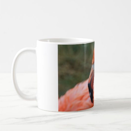 Phoenicopterus ruber kaffeetasse (Links)