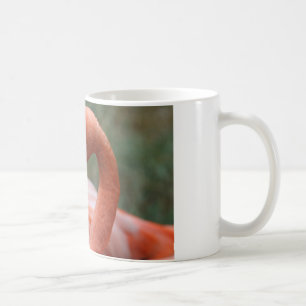 Phoenicopterus ruber kaffeetasse