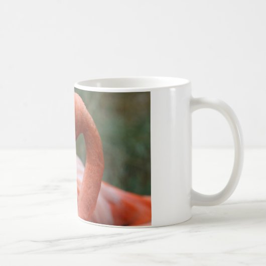 Phoenicopterus ruber kaffeetasse (Rechts)
