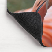 Phoenicopterus ruber mousepad (Ecke)